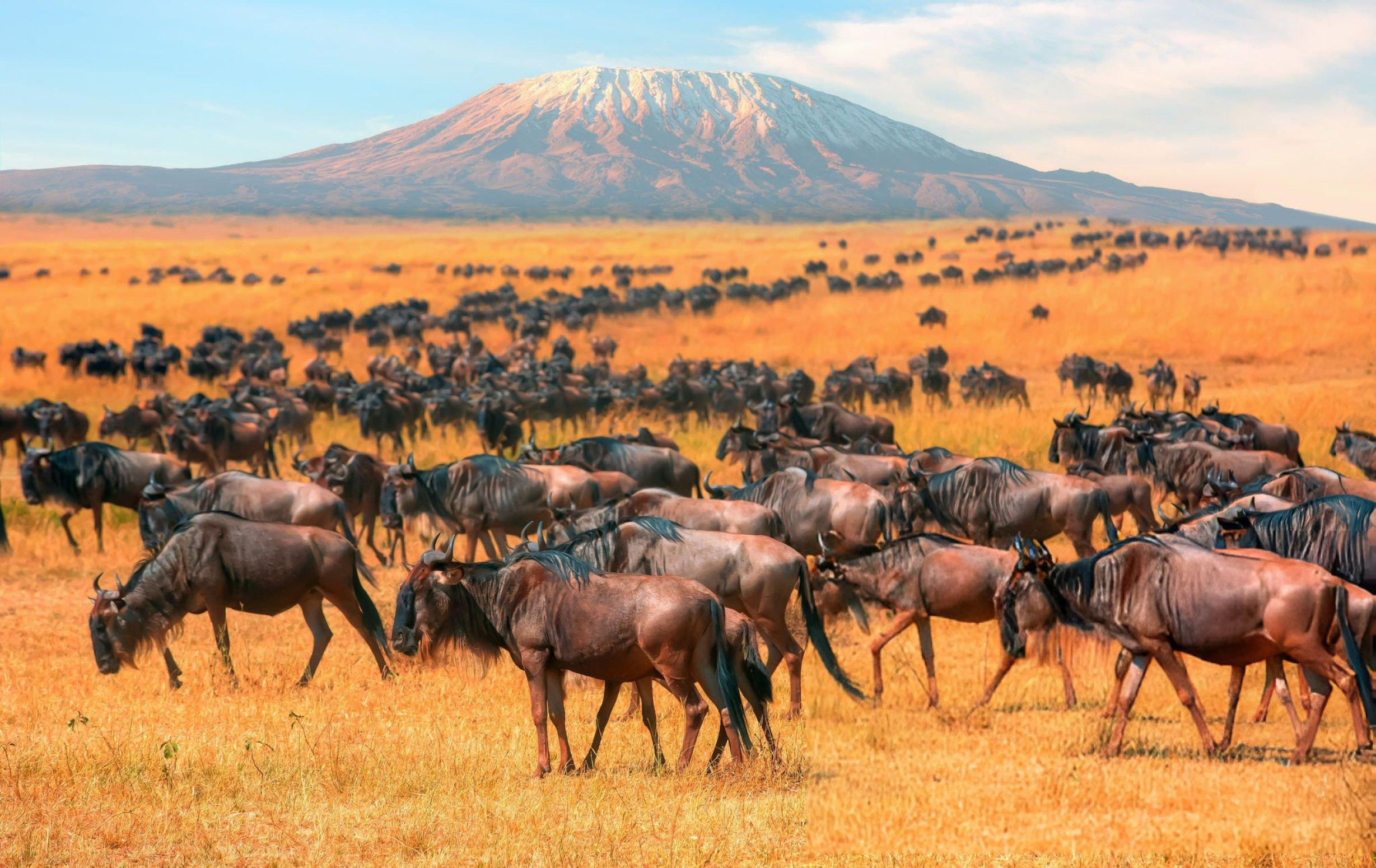 Kenya