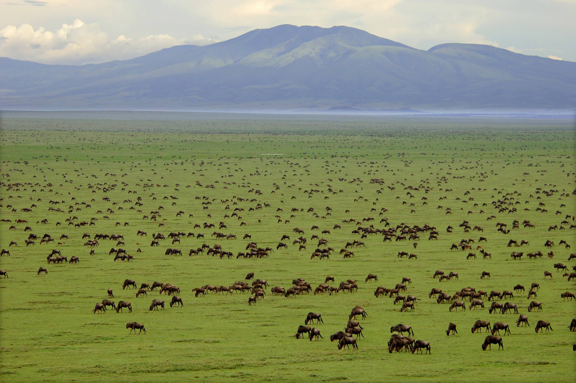 15 Days Tanzania Grand Exploration & Cultural Immersion